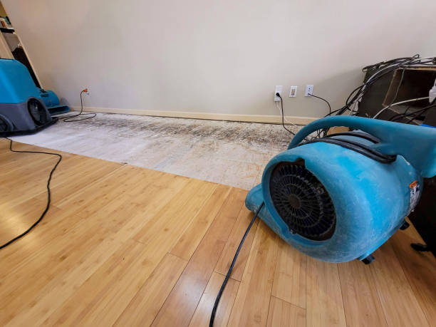 Professional Structural Drying technician working in King, NC